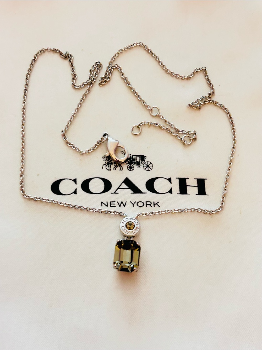 Coach Smoky Gray Stone Charm Necklace - Picture 11 of 14
